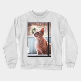 Animal Images Crewneck Sweatshirt